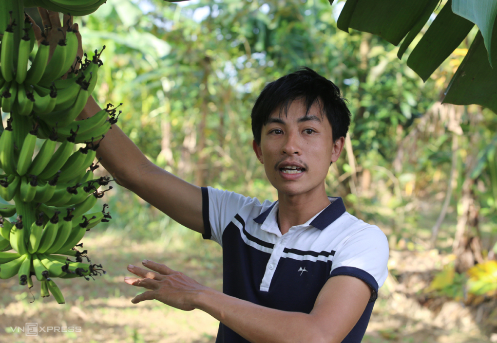 Nguyễn Văn Nhân chia sẻ về trang trại thuận theo tự nhiên, không sử dụng hóa chất nhưng cho năng suất cao. Ảnh: Đắc Thành