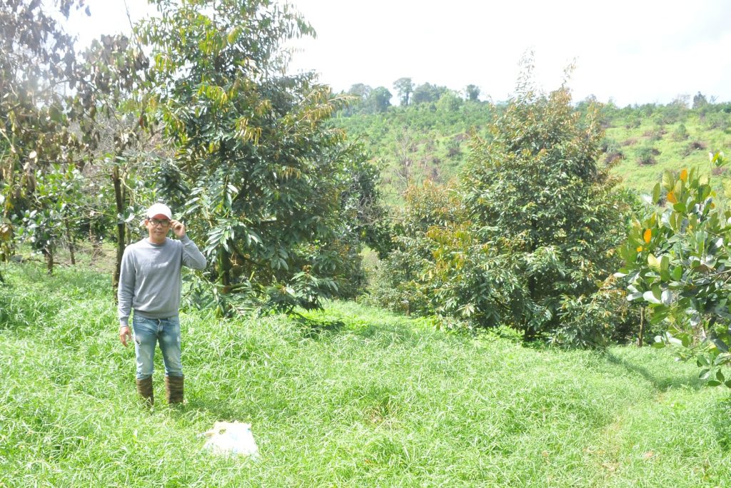 Anh Nguyễn Văn Kiệp, (Đắk Nia (TP Gia Nghĩa, tỉnh Đắk Nông) chủ nhân vườn sầu riêng tiền tỷ ở Đắk Nông. Ảnh: Duy Hậu.